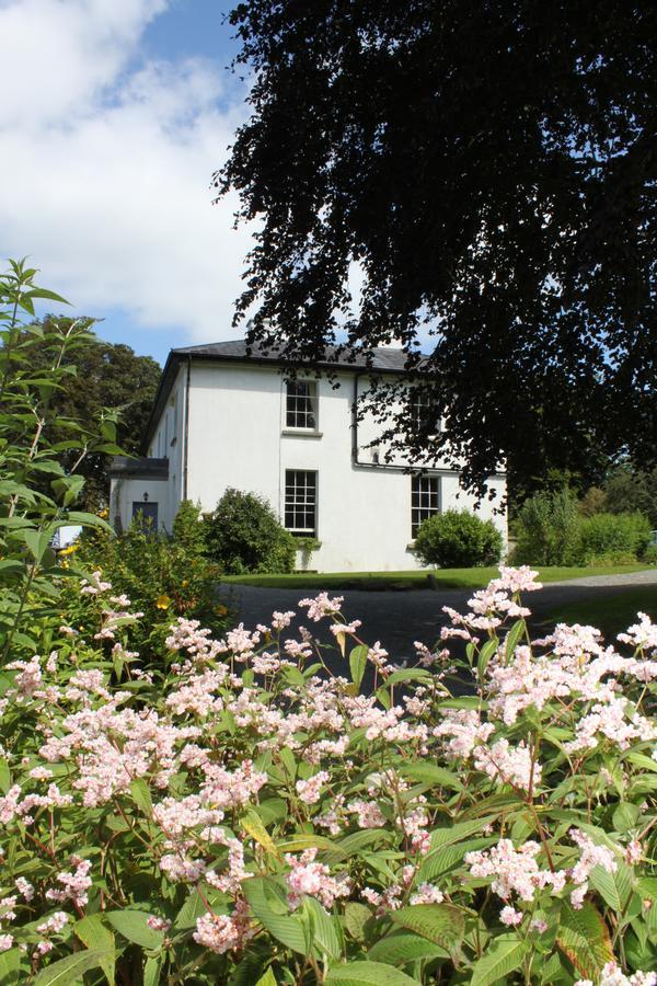 Lough Bawn House Bed & Breakfast Collinstown  Exterior photo