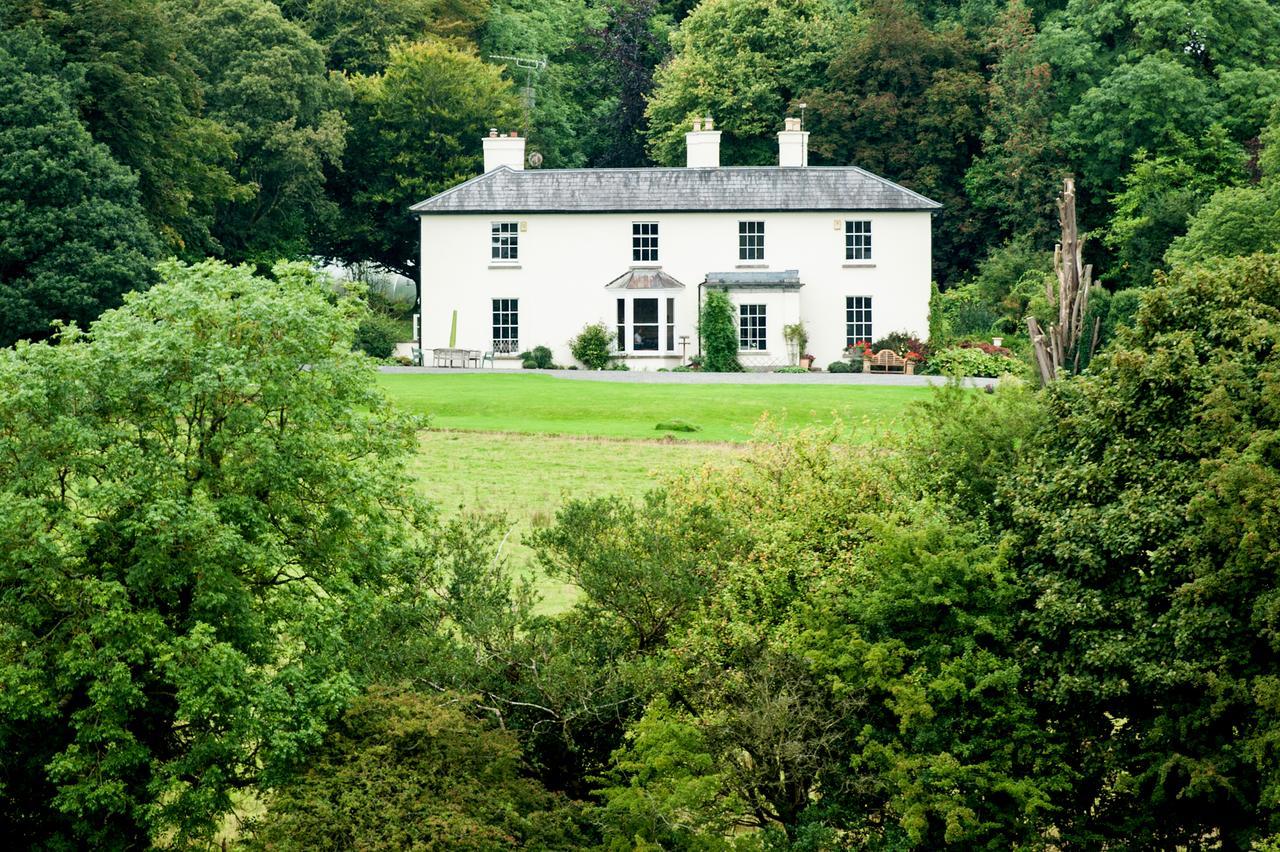 Lough Bawn House Bed & Breakfast Collinstown  Exterior photo